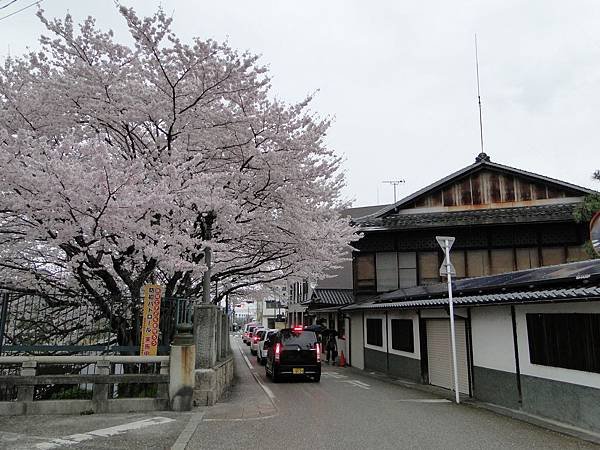 琵湖疏水道 (25).JPG