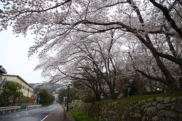 琵琶湖疏水道 (33).JPG