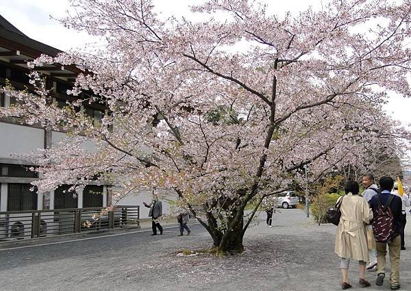 仁和寺 (5).JPG