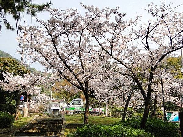 神戶須磨浦公園 (4)