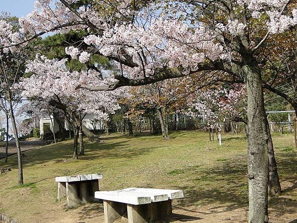 神戶須磨浦公園 (29)