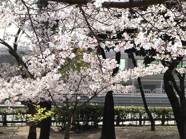 神戶須磨浦公園 (39)