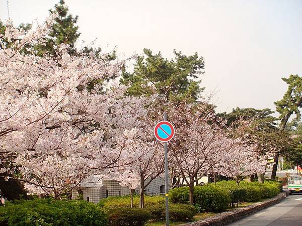 須磨浦公園 (5)