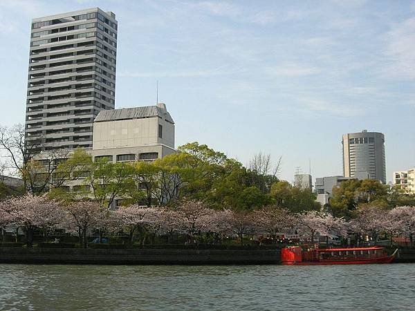 毛馬櫻之宮公園 (110)