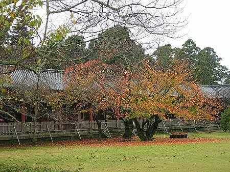 奈良東大寺 (48)