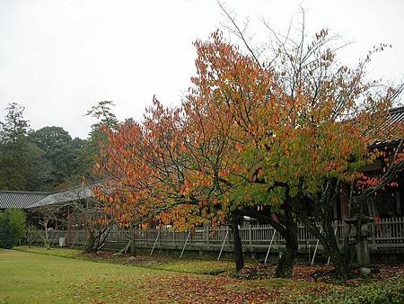 奈良東大寺 (70)