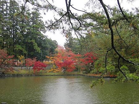 奈良東大寺 (83)