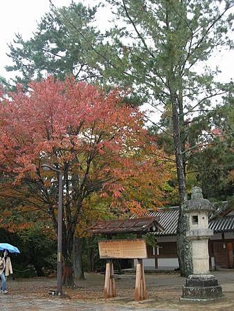 奈良東大寺 (89)