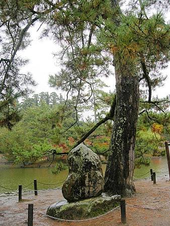 奈良東大寺 (90)