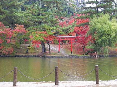 奈良東大寺 (92)