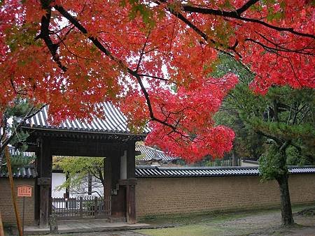 奈良東大寺 (96)