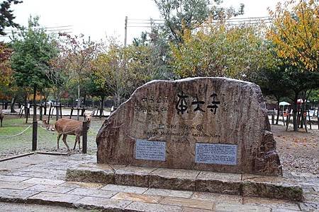 東大寺 (150)