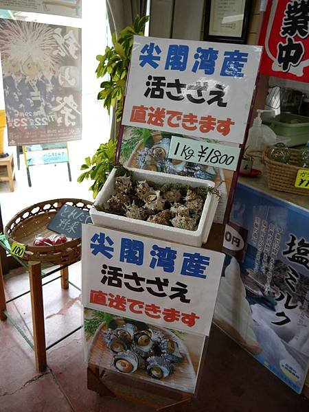 尖閣灣 (137)