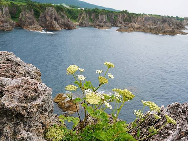 尖閣灣 (215)