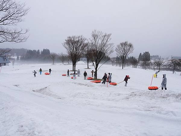 滑雪 (35)
