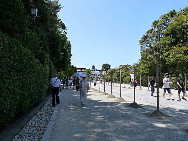 鶴岡八幡宮 (190)