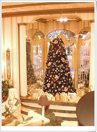DSCN0550.JPG