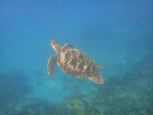 IMG_3637