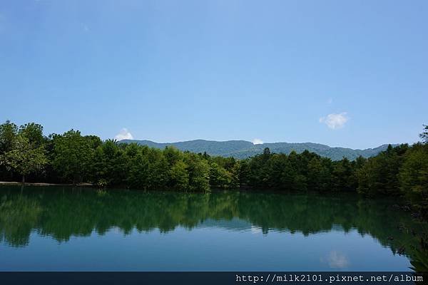 0809 (25).JPG