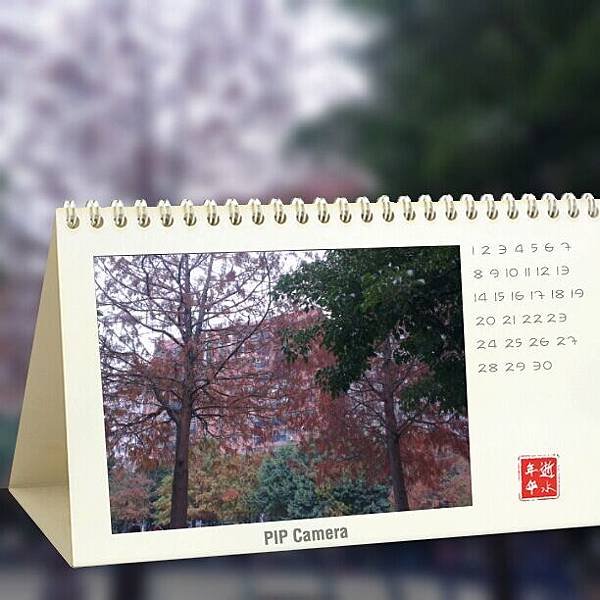 紅了相思