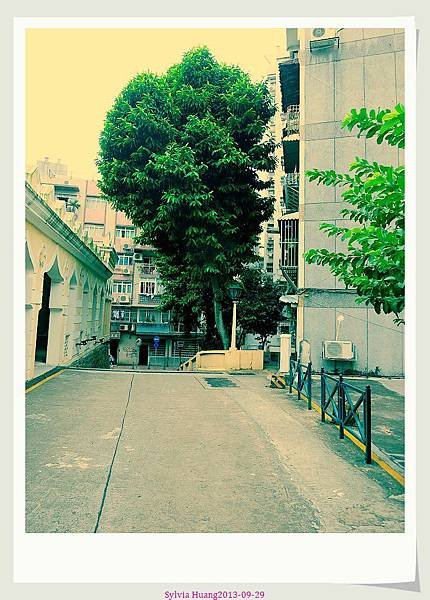 20130929-7IMG_0003.JPG