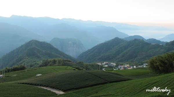 2013 阿里山日出蹦跳 (9)