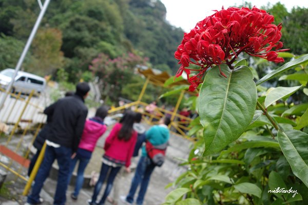 2013 花蓮 慕谷慕魚 (9)