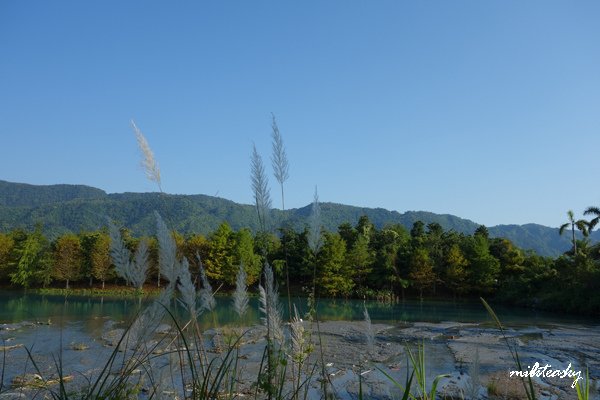 2013 花蓮 雲山水 (10)