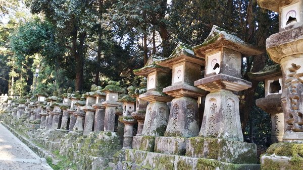 Nara (16)