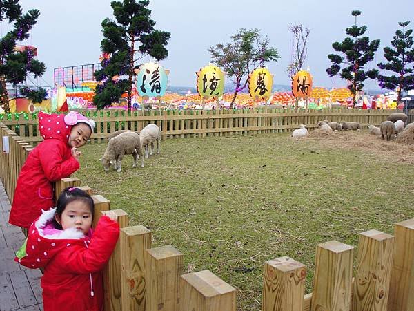 DSC06145-2.JPG