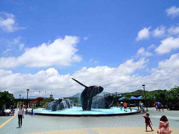 DSC01931-2.JPG