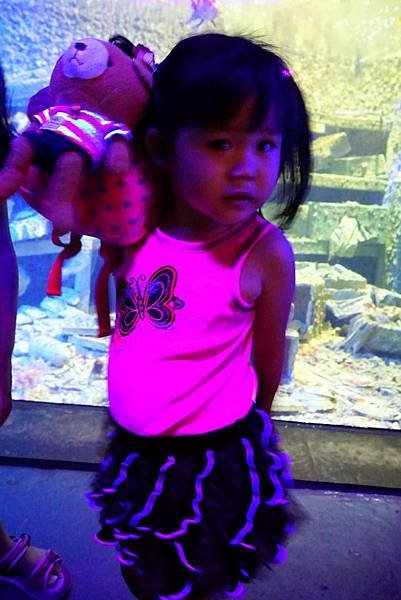 DSC01969-2.JPG