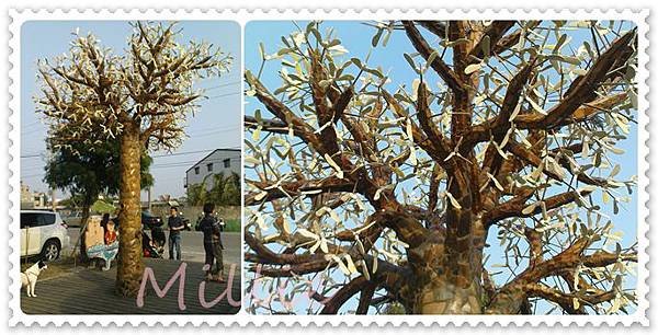 tree