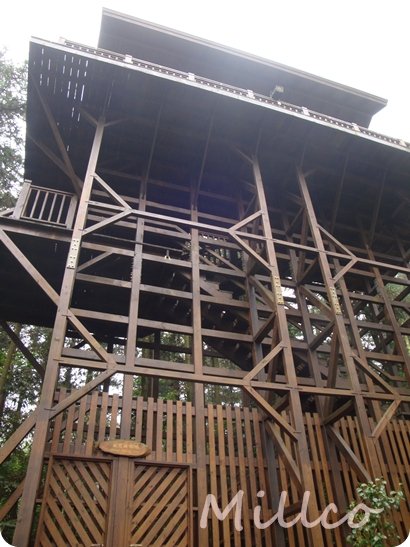內湖國小-生態樓.jpg