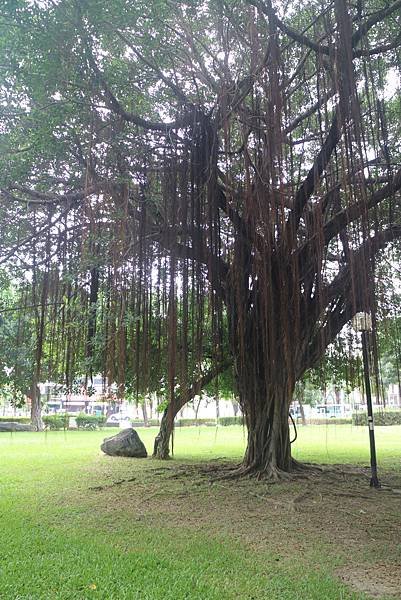 大東濕地公園