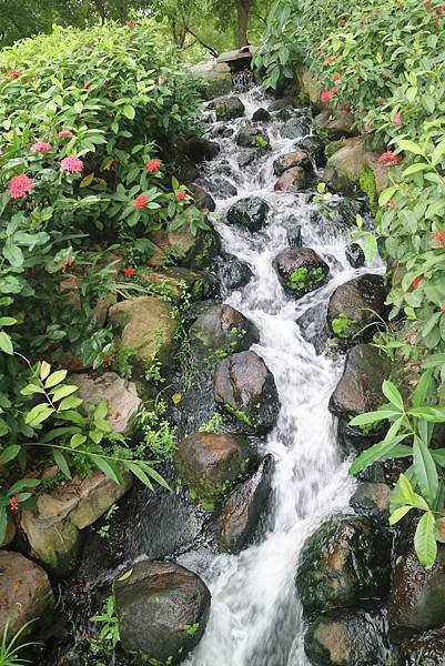 大東濕地公園