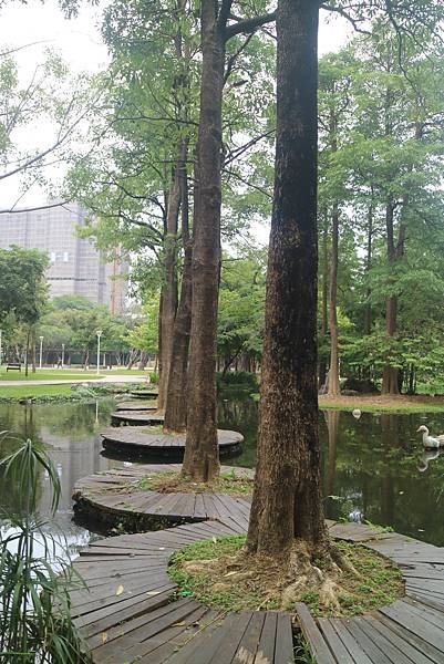 大東濕地公園