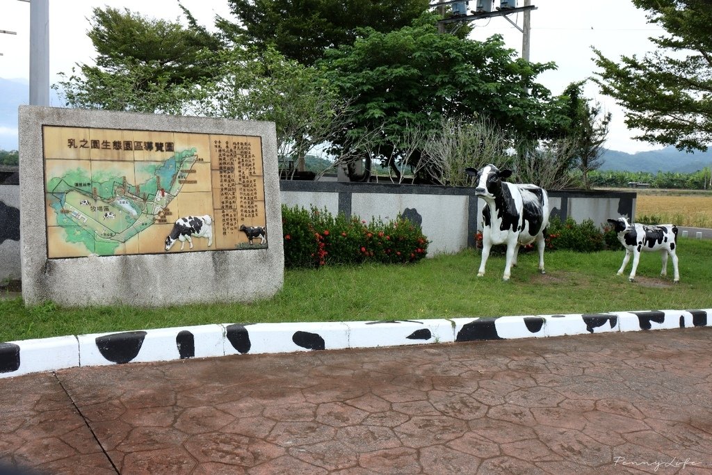 a008.jpg