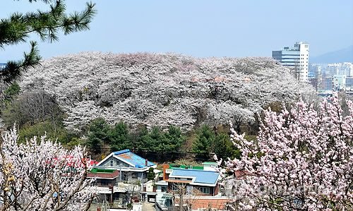 테미공원