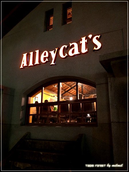 alleycat13.jpg