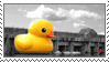 STAMP03___Rubber_Duck_by_spraynine