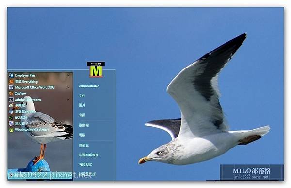 動物海鷗可愛win7  milo0922.pixnet.net__029_00589