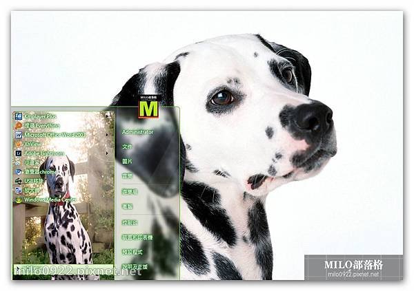 斑點犬Dalmatian可愛win7  milo0922.pixnet.net__036_00596