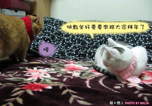 20081215-恭喜發財新年快樂01