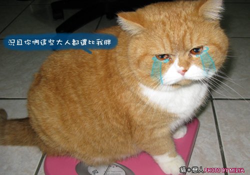 20090205-圈圈的秘密04