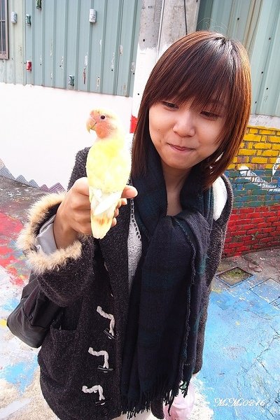 馬與鳥。