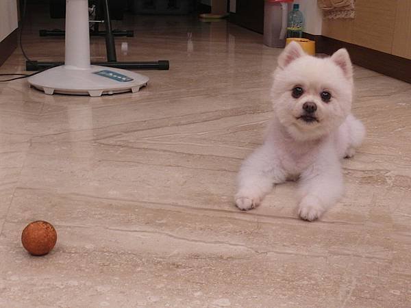 SAM_6163