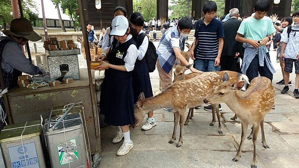 20170521奈良+一嵐拉麵_170530_0074.jpg