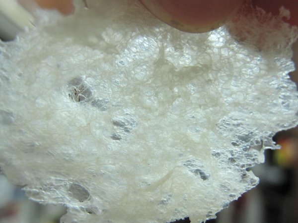 20090723 026.jpg