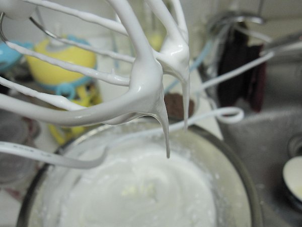 20100318 005.jpg